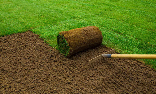 Turfing Bury Turfing Bury